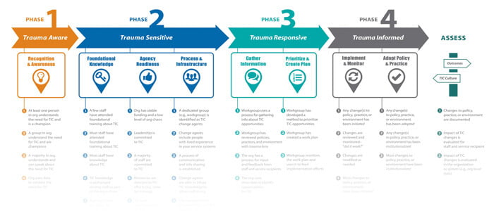 Trauma Informed Care Screening Tool thumbnail